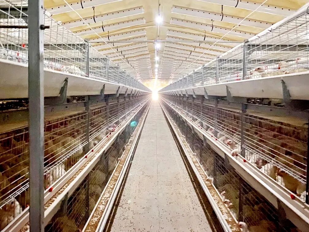 钱柜qg777(中国区)唯一官方网站