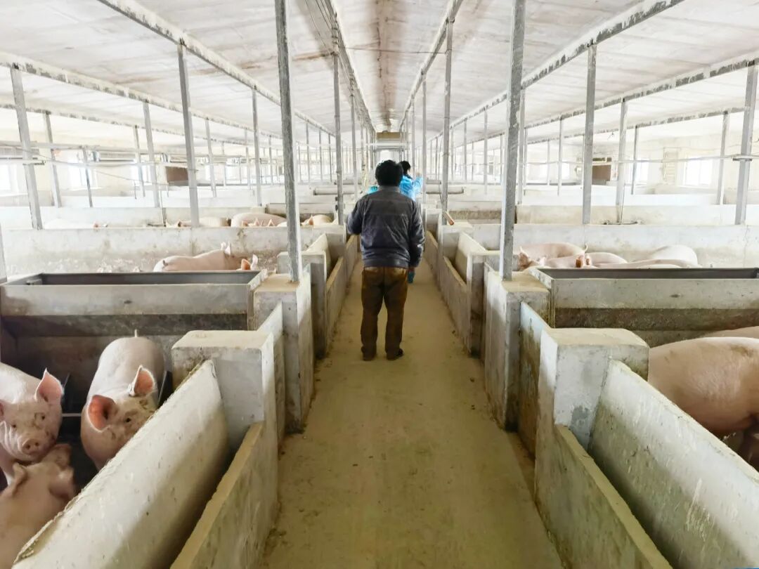 养猪场空气源热泵机组