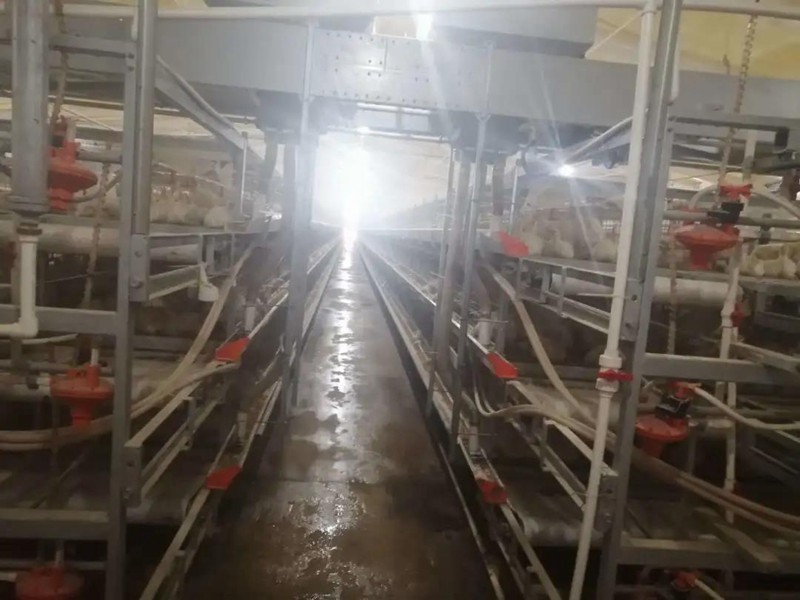 钱柜qg777(中国区)唯一官方网站