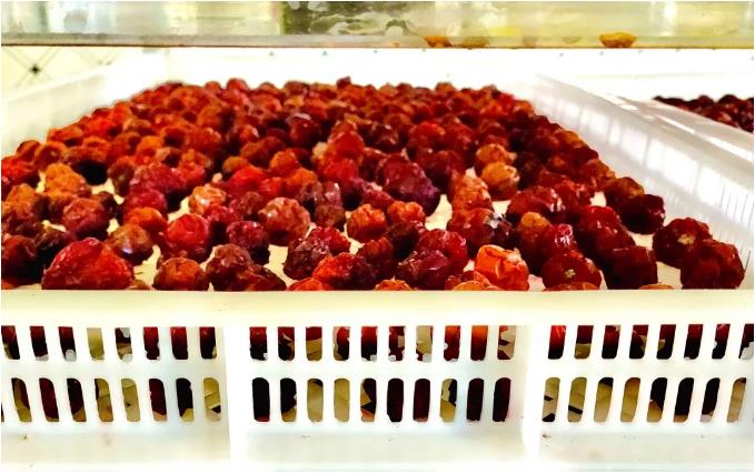 钱柜qg777(中国区)唯一官方网站