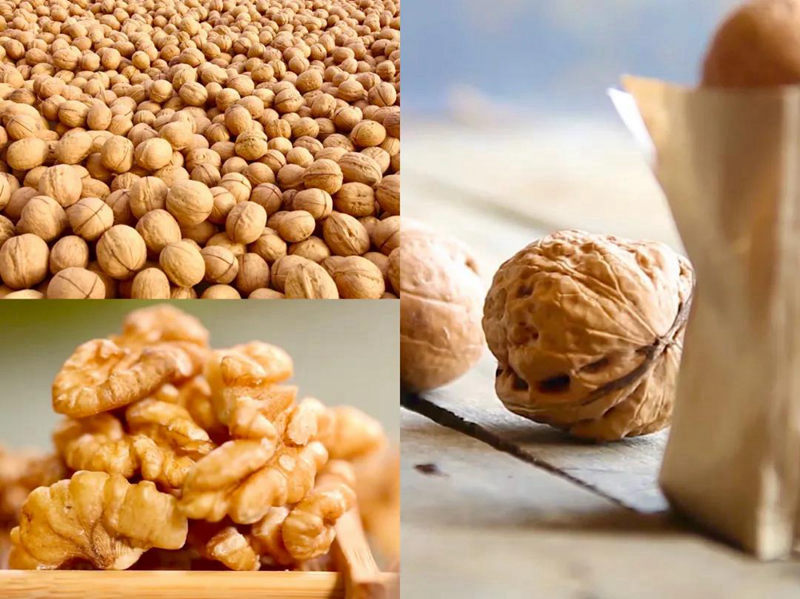 钱柜qg777(中国区)唯一官方网站