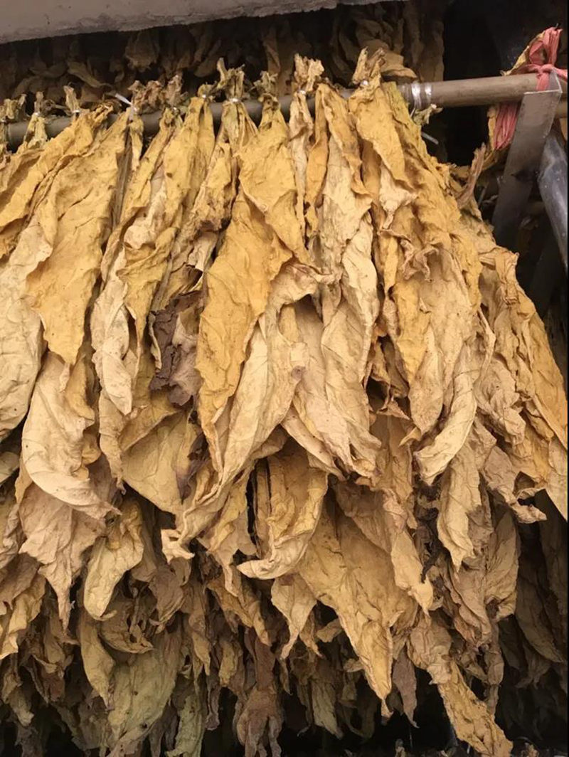 钱柜qg777(中国区)唯一官方网站