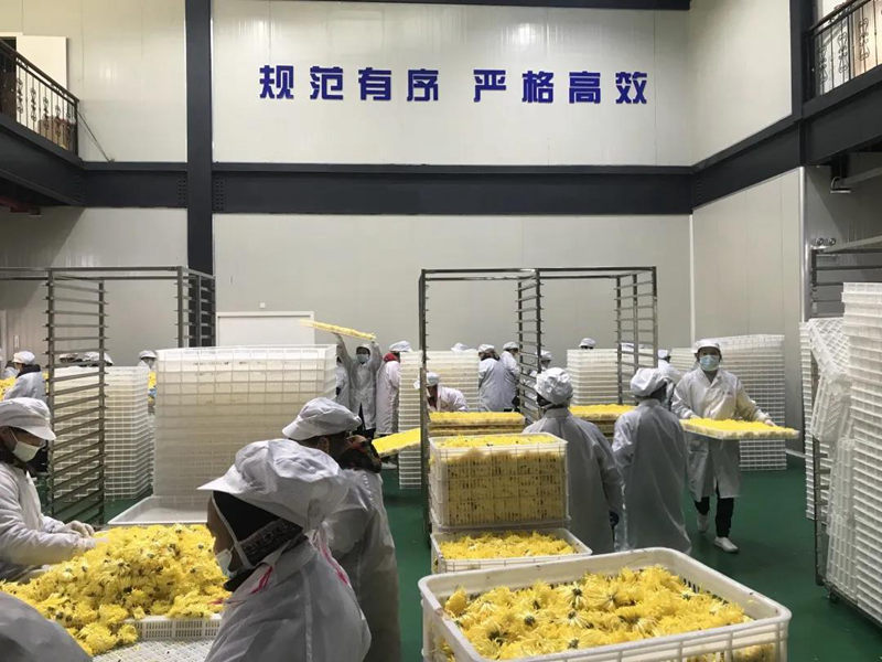 钱柜qg777(中国区)唯一官方网站