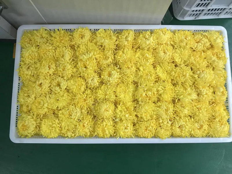 钱柜qg777(中国区)唯一官方网站