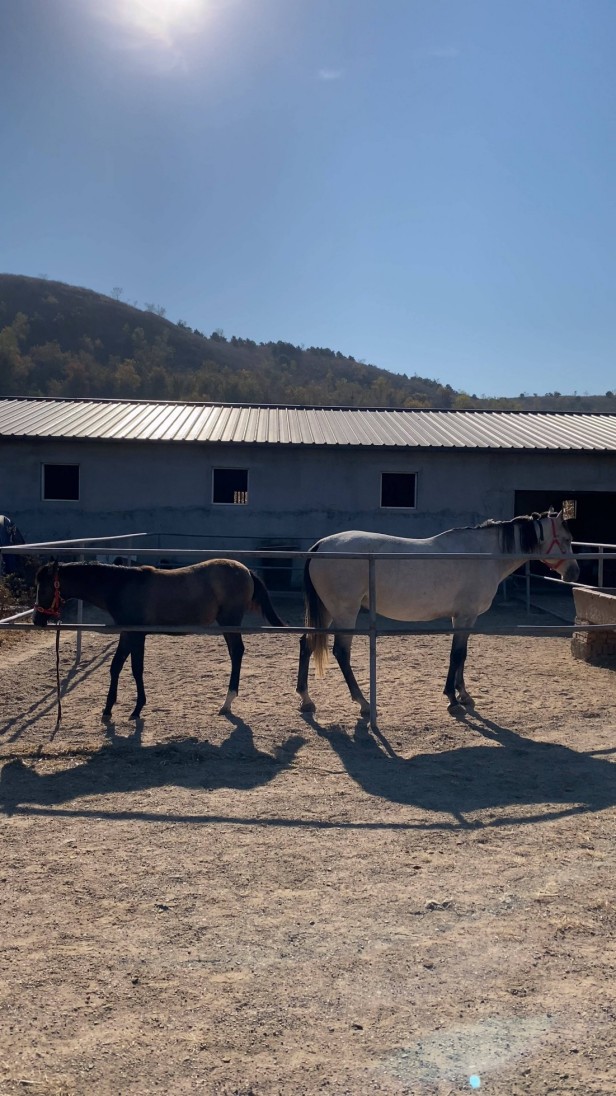 马场办公室空气能热泵取暖和
